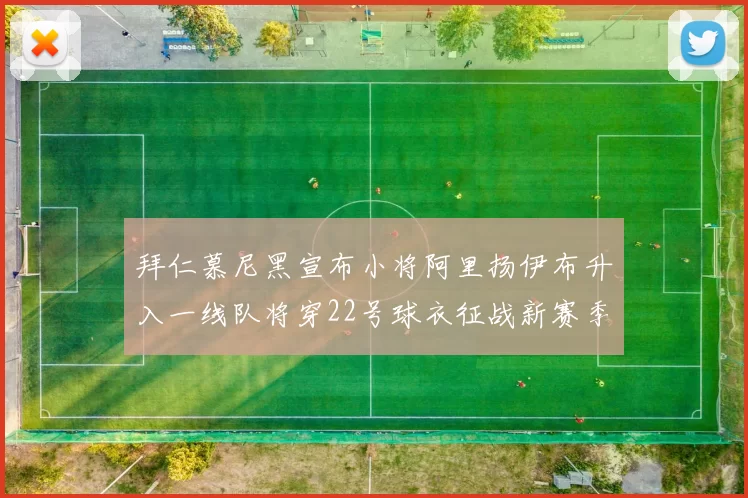 拜仁慕尼黑宣布小将阿里扬伊布升入一线队将穿22号球衣征战新赛季