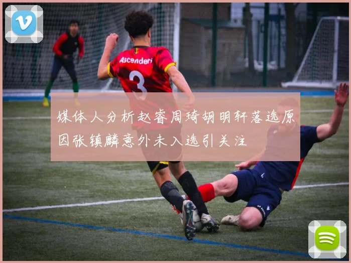 媒体人分析赵睿周琦胡明轩落选原因张镇麟意外未入选引关注